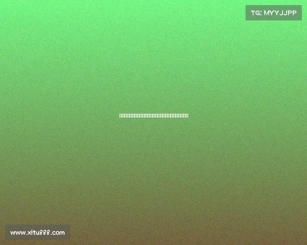 黄健翔力挺多纳鲁马：比赛中应注重公平对待伤员与团队责任