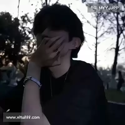 秦霞品